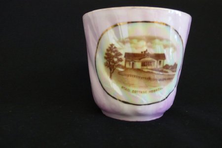 Otaki Cottage Hospital Cup